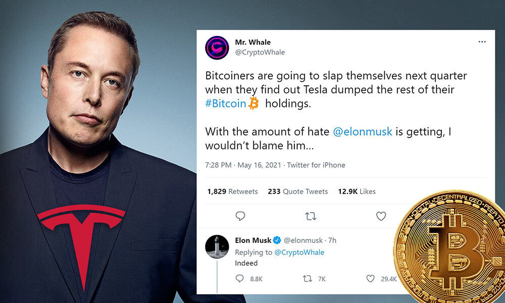 elon musk buy bitcoin tweet